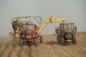  Film still for "Das weite Feld"