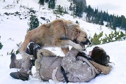 Filmstill zu "Kit & Co"