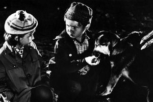 Film still for "Wir und Vulkan"