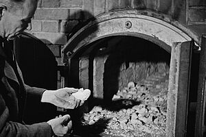 Filmstill zu "Todeslager Sachsenhausen"