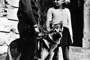 Film still for "Wir und Vulkan"